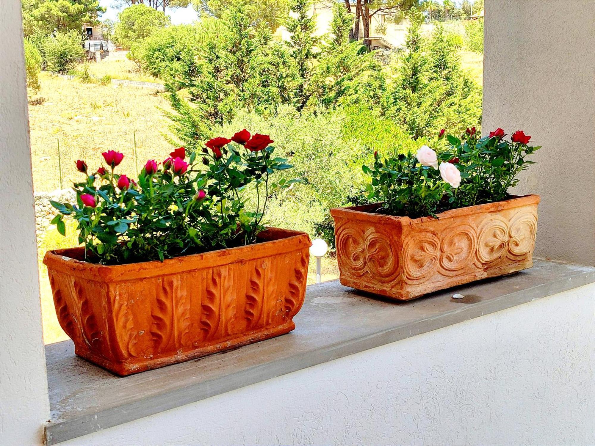 אבולה Villa Orizzonte Sullo Jonio מראה חיצוני תמונה