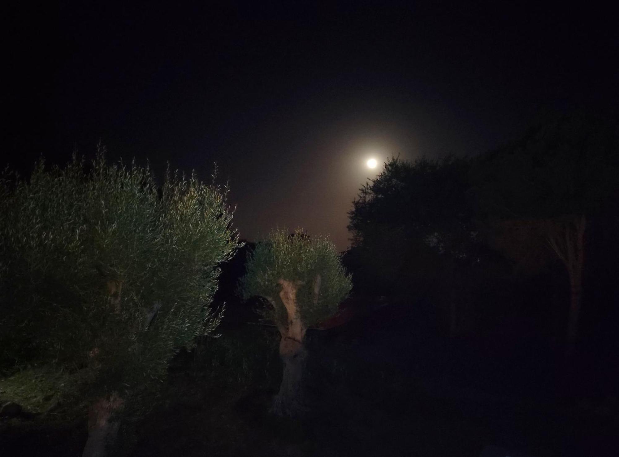 אבולה Villa Orizzonte Sullo Jonio מראה חיצוני תמונה