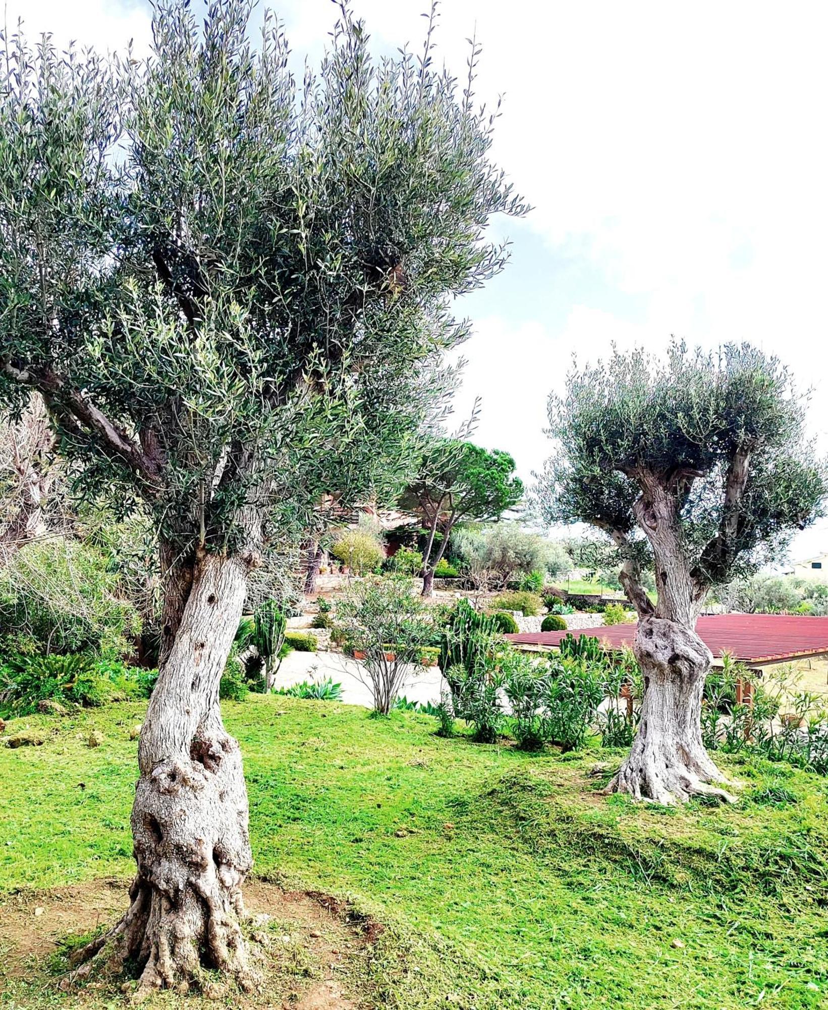 אבולה Villa Orizzonte Sullo Jonio מראה חיצוני תמונה